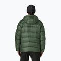 Men's down jacket Patagonia Fitz Roy Down Hoody canopy green 2