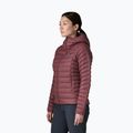 Women's down jacket Patagonia Down Sweater Hoody dark ruby 4