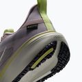 Women's running shoes Nike Pegasus 42 GORE-TEX particle rose/silver lilac/fennel/sail 6