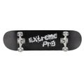 Mechanics Pro-Extreme 31 classic skateboard black Pro-ext