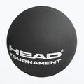 HEAD Tournament Squash Ball black 2