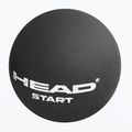 HEAD Start Squash Ball black 2