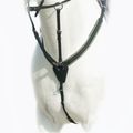 Leaping collar for horse Prestige Italia black D41