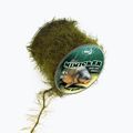 Katran Mimicker Braided Carp Hook Links green