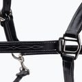 Leather halter for horse Prestige Italia black E53 3