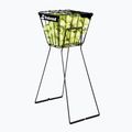 Babolat Tennis Ball CART Black 730002 5