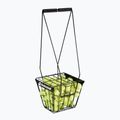 Babolat Tennis Ball CART Black 730002 6