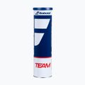 Babolat Team tennis balls 4 pcs. yellow 2