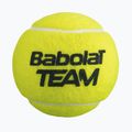 Babolat Team tennis balls 4 pcs. yellow 3
