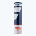 Babolat Team Clay tennis balls 4 pcs yellow 502080 2