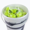 Babolat Gold Academy tennis balls 72 pcs yellow 514008 3