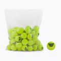 Babolat Gold Academy tennis balls 72 pcs yellow 512007