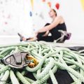 Petzl Grigri + grey belay device D13A G 6