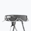 Petzl Corax climbing harness grey C051AA00 3