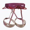 Climbing harness Petzl Red Corax 2