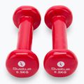 Set of dumbbells 0.5 kg 2 pcs. Sveltus Epoxy red 1180 3