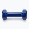 Set of dumbbells 1 kg 2 pcs. Sveltus Epoxy blue 1181 4