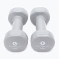 Set of dumbbells 3 kg 2 pcs. Sveltus Epoxy Dumbbells 1183 3