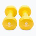 Set of dumbbells 4 kg 2 pcs. Sveltus Epoxy yellow 1184 3