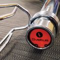 Sveltus Olympic Trap Bar + 2 clamps 5