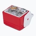 Igloo Playmate Mini 3 l red star camping fridge 7
