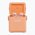 Igloo 11 Qt Tag-A-Long Too Refrigerator 15