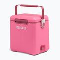 Cool box Igloo Tag Along Too Highrise 18 l pink 2