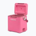 Cool box Igloo Tag Along Too Highrise 18 l pink 4