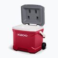 Igloo Latitude 16 Qt Roller 15 l industrial red/ meteorite camping fridge 12