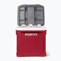 Igloo Latitude 60 Roller 56 l industrial red/ meteorite camping fridge 14