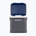Igloo Maxcold Latitude 62 Qt Roller 59 l carbonite/ aegean sea camping fridge 12