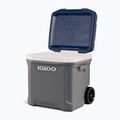 Igloo Maxcold Latitude 62 Qt Roller 59 l carbonite/ aegean sea camping fridge 13