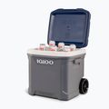 Igloo Maxcold Latitude 62 Qt Roller 59 l carbonite/ aegean sea camping fridge 16