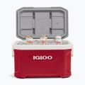 Cool box Igloo Latitude 52 49 l industrial red 12