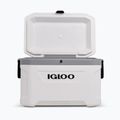 Igloo Latitude Marine Ultra 54 51 l white/moonscape gray touring fridge 4