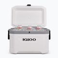 Igloo Latitude Marine Ultra 54 51 l white/moonscape gray touring fridge 10
