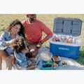 Igloo Latitude 52 indigo blu/white/meteorite travel fridge 15