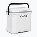 Igloo Latitude Marine Ultra 30 28 l white/moonscape gray touring fridge 4