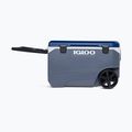 Igloo Maxcold Latitude 90 Qt Roller 85 l carbonite/aegean sea camping fridge 2