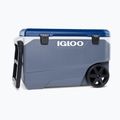 Igloo Maxcold Latitude 90 Qt Roller 85 l carbonite/aegean sea camping fridge 3
