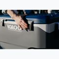 Igloo Maxcold Latitude 90 Qt Roller 85 l carbonite/aegean sea camping fridge 14