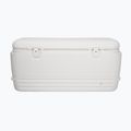 Igloo Polar 120 Qt 113 l white camping fridge