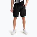 Arena Icons Team Stripe Bermuda Logo shorts black 005652/518 2