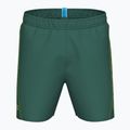 Men's swim shorts arena Fundamentals Arena Logo Boxer R artic lime/mangrove 3