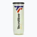 Tennis balls Tecnifibre Club Pet 3 pcs.