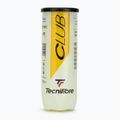 Tennis balls Tecnifibre Club Pet 3 pcs. 2
