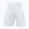 Men's tennis shorts Tecnifibre Stretch white 23STRE 2