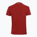 Men's tennis shirt Tecnifibre Team Tech Tee red 22TETECR33 3