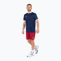 Men's tennis shorts Tecnifibre Team red 23SHOMCR34