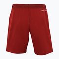 Men's tennis shorts Tecnifibre Team red 23SHOMCR34 3